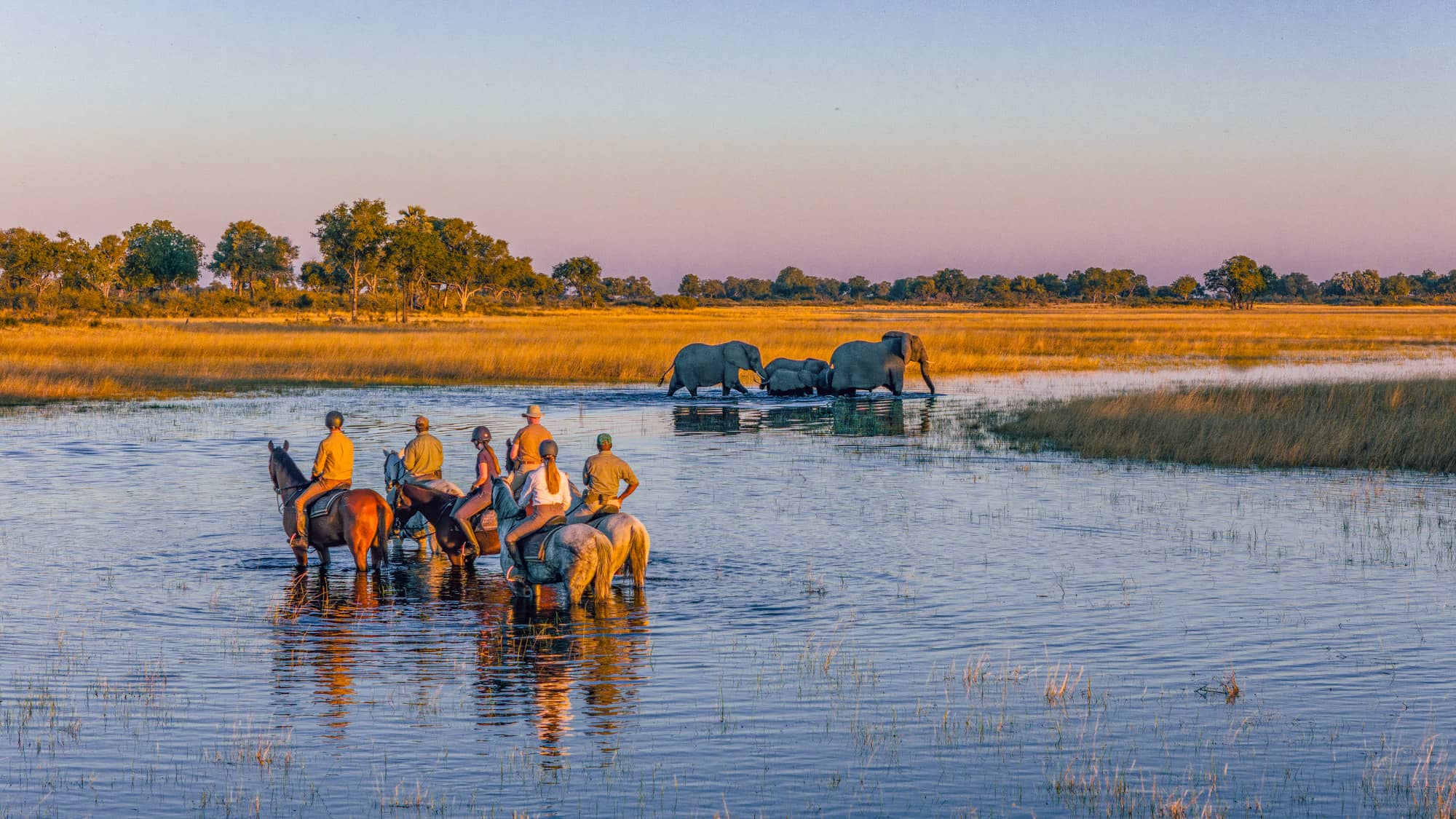 Voyage à cheval - Botswana
